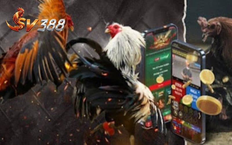 SV388 hợp tác với các nhà cung cấp danh tiếng